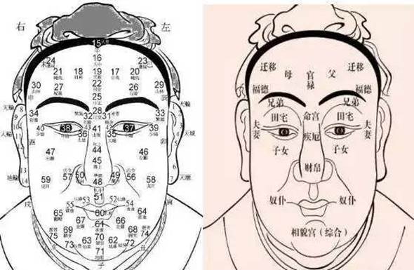 周素丽易学文化-面相与人生