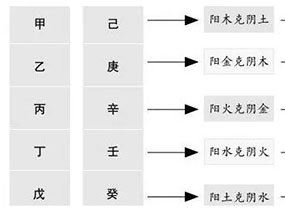 什么是天干五合？