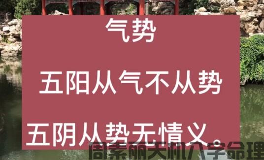 阳干从气不从势，阴干从势无情义(图1)